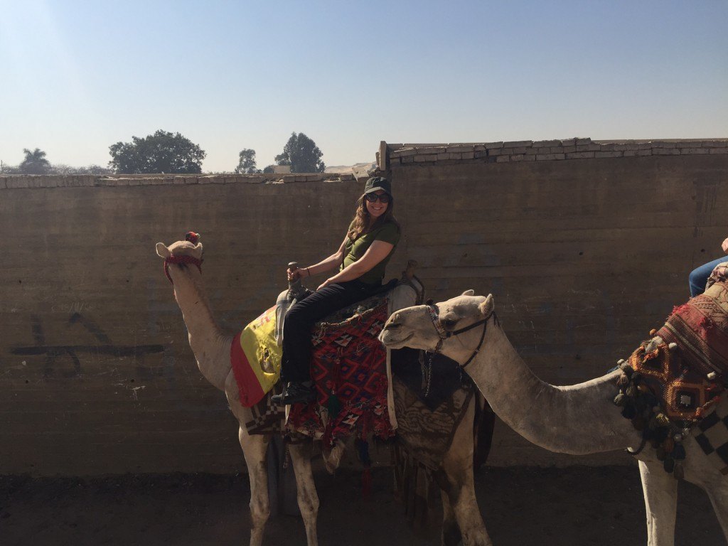 Camels