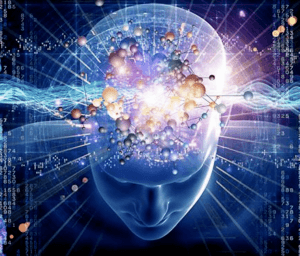blue-brain-300x256