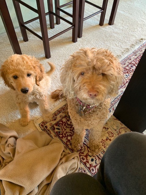 Bo & Missy