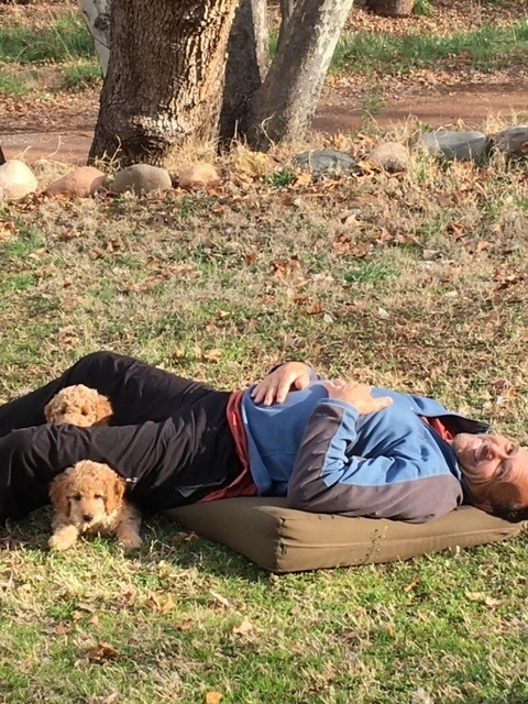Morgan & Puppies