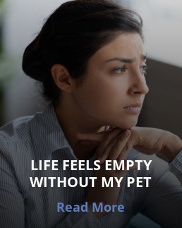 best loss and grief retreat 2021 death of pet